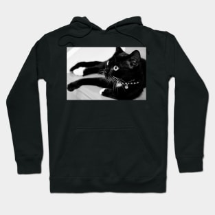 Kitty at Rest Hoodie